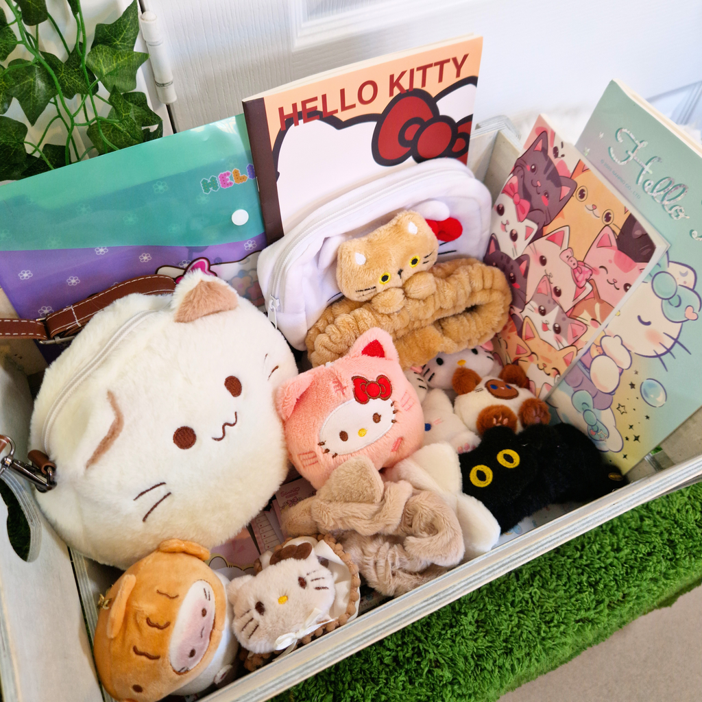 Mystery Scoop Box
