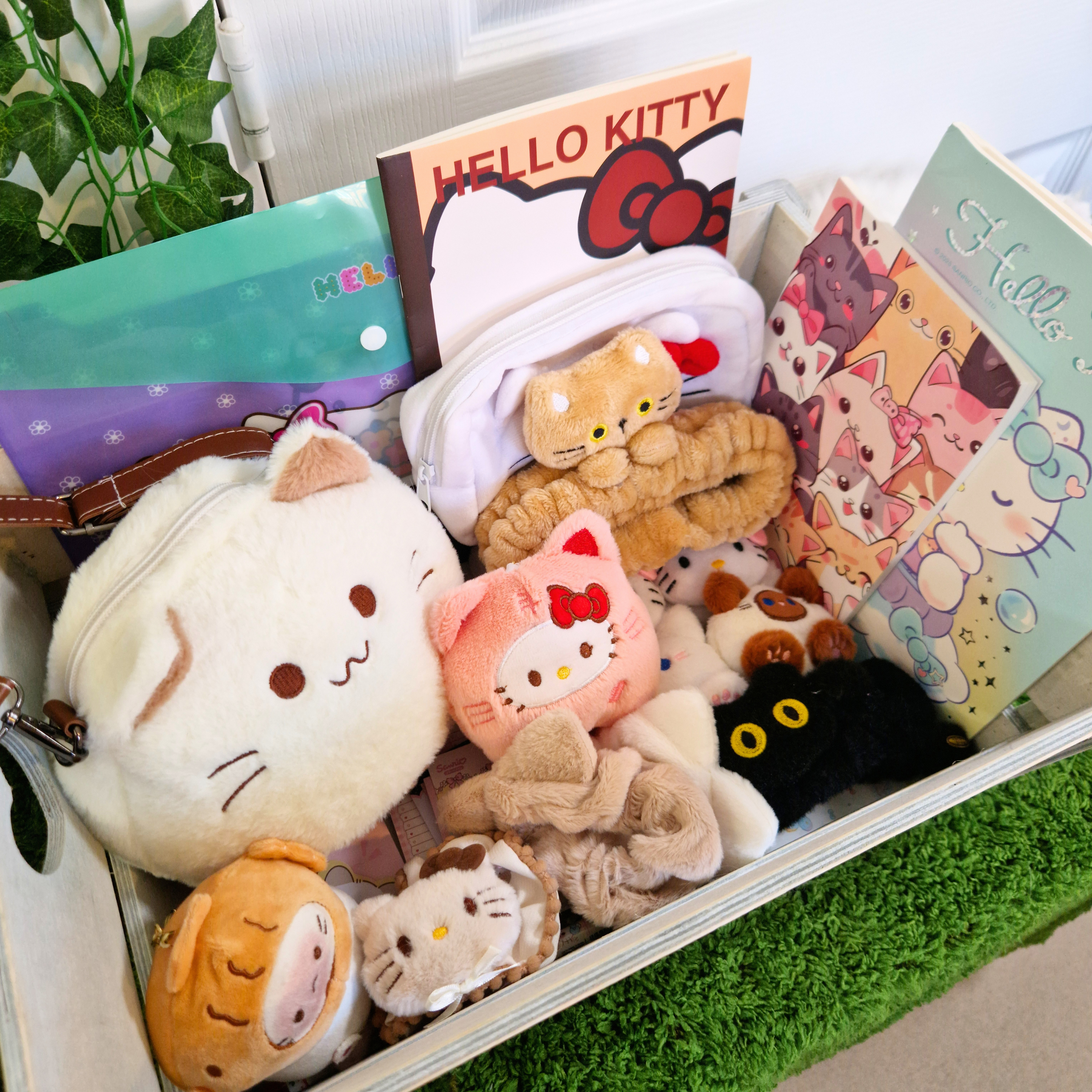 Mystery Scoop Box